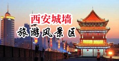 肏女B中国陕西-西安城墙旅游风景区